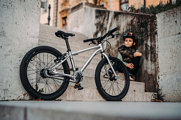 Детский велосипед Early Rider Seeker Sage Green 24"