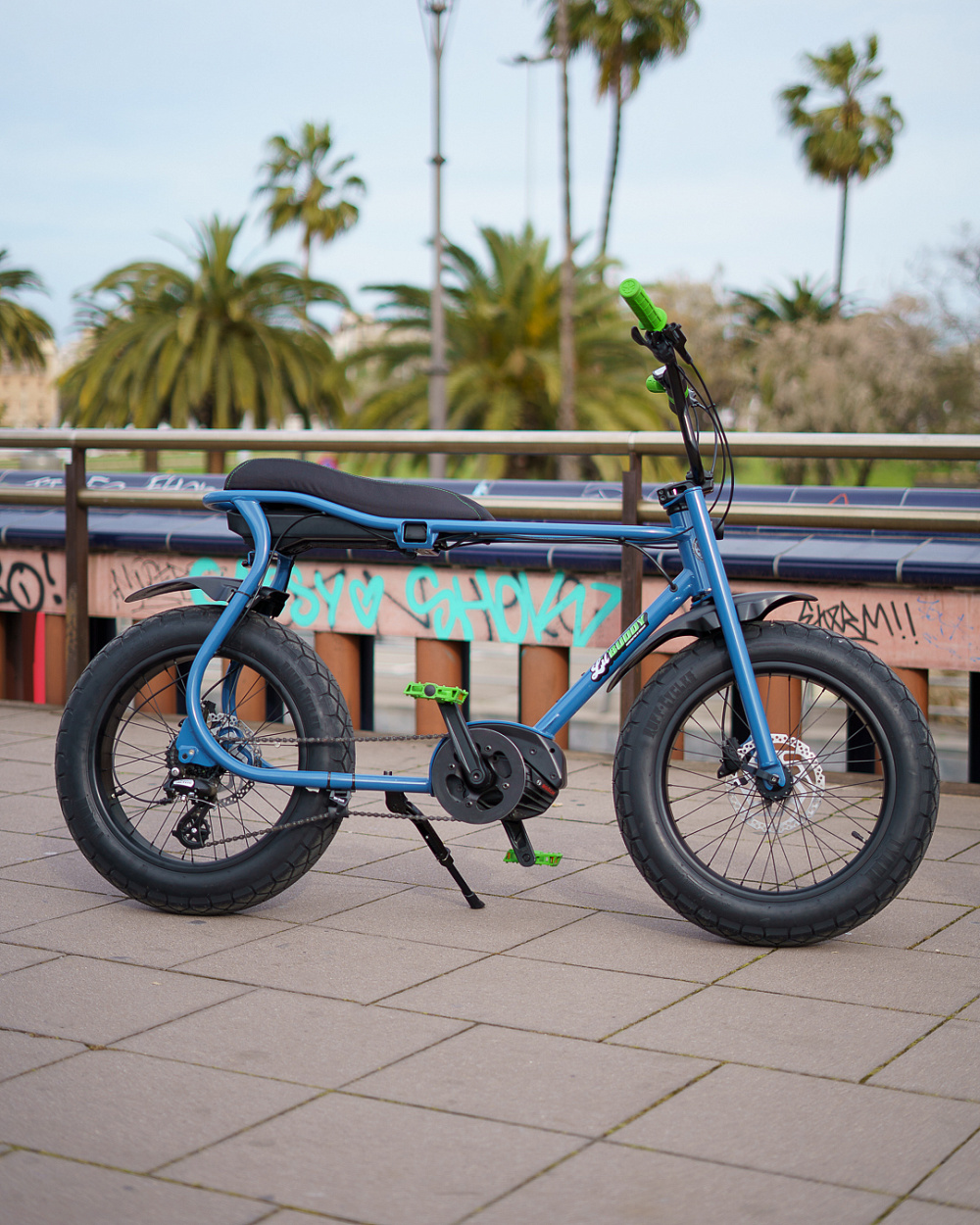 Электровелосипед Ruff Cycles Lil'Buddy SPECIAL EDITION Bosch Performance Line CX 500Wh Paposo Blue